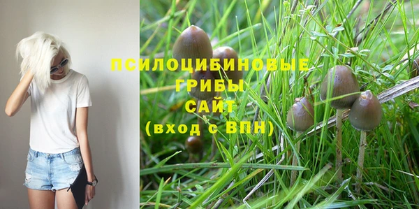 Альфа ПВП Зеленокумск