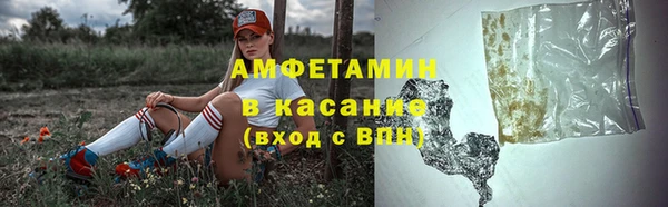 spice Инта