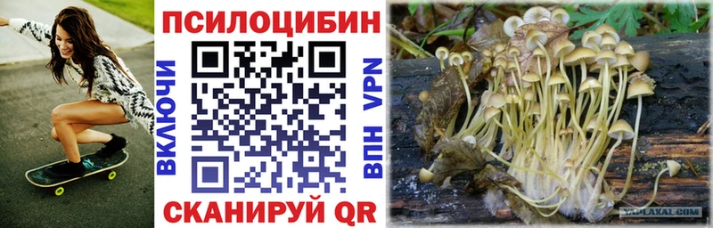 Купить  Ивдель  Псилоцибиновые грибы Cubensis 